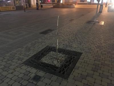 Прикрепленное изображение: IMG_1607.jpg